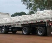 CUIDADO: Não existe caminhão Wanderleia